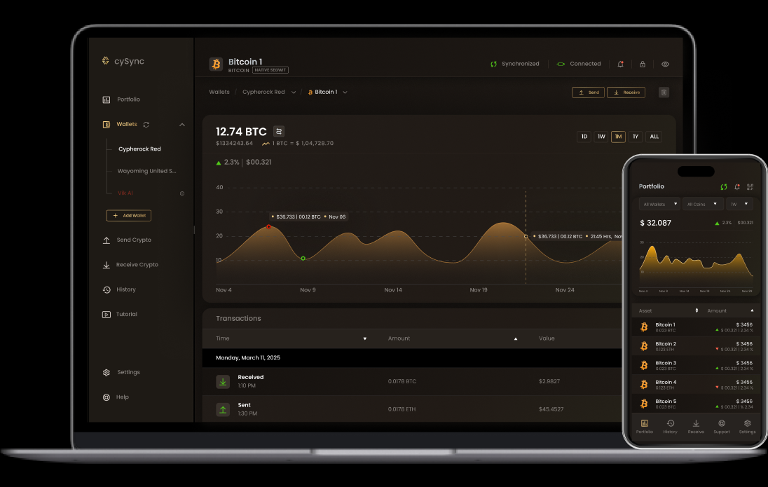 Bitcoin-only Portfolio