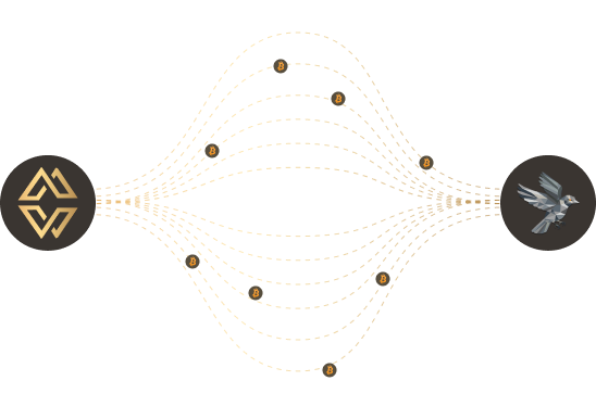 Compatible with the most trusted Bitcoin wallets