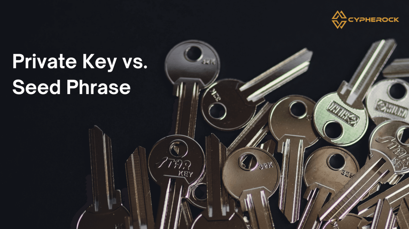 metamask private key vs seed phrase