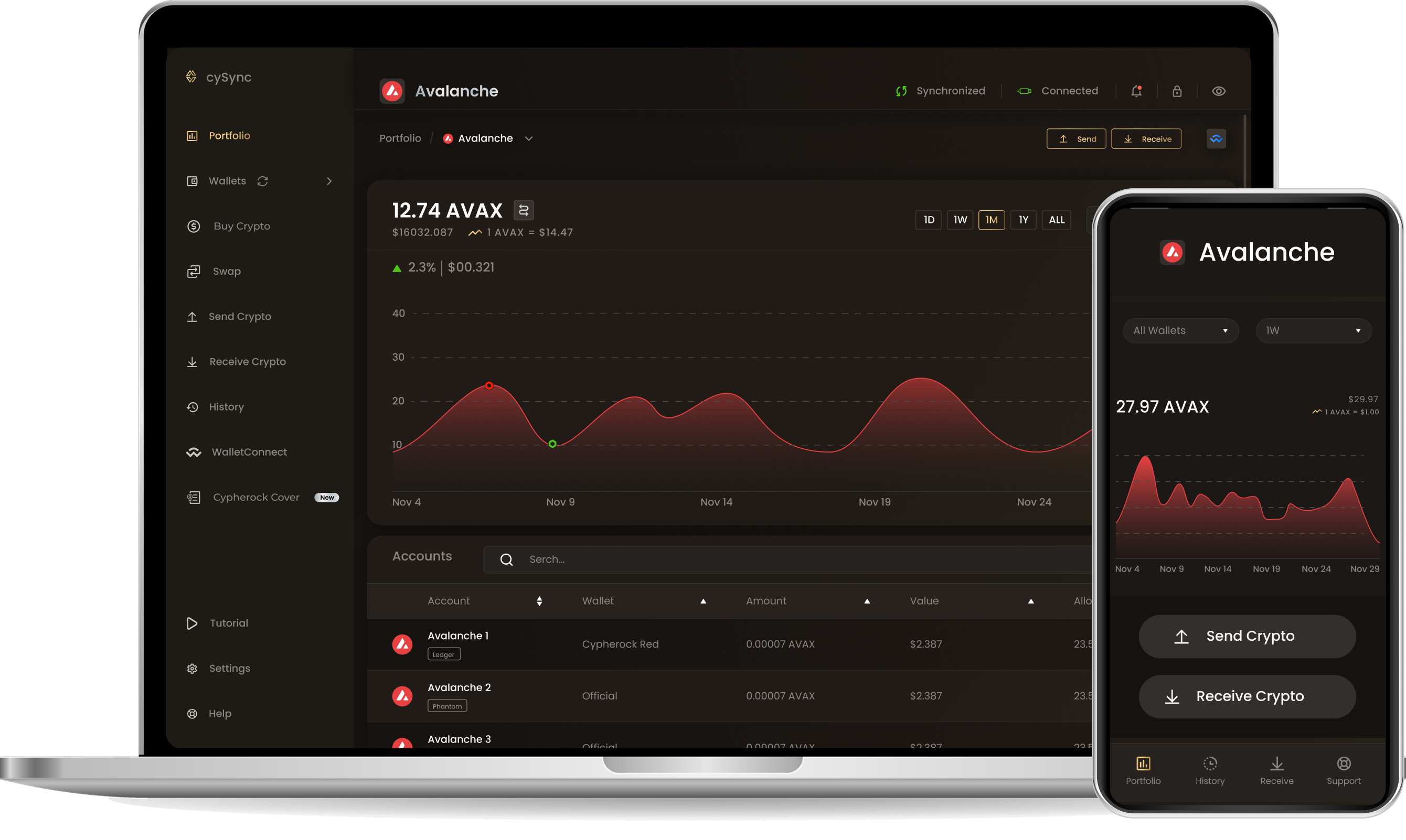 CySync App interface showing Avalanche portfolio