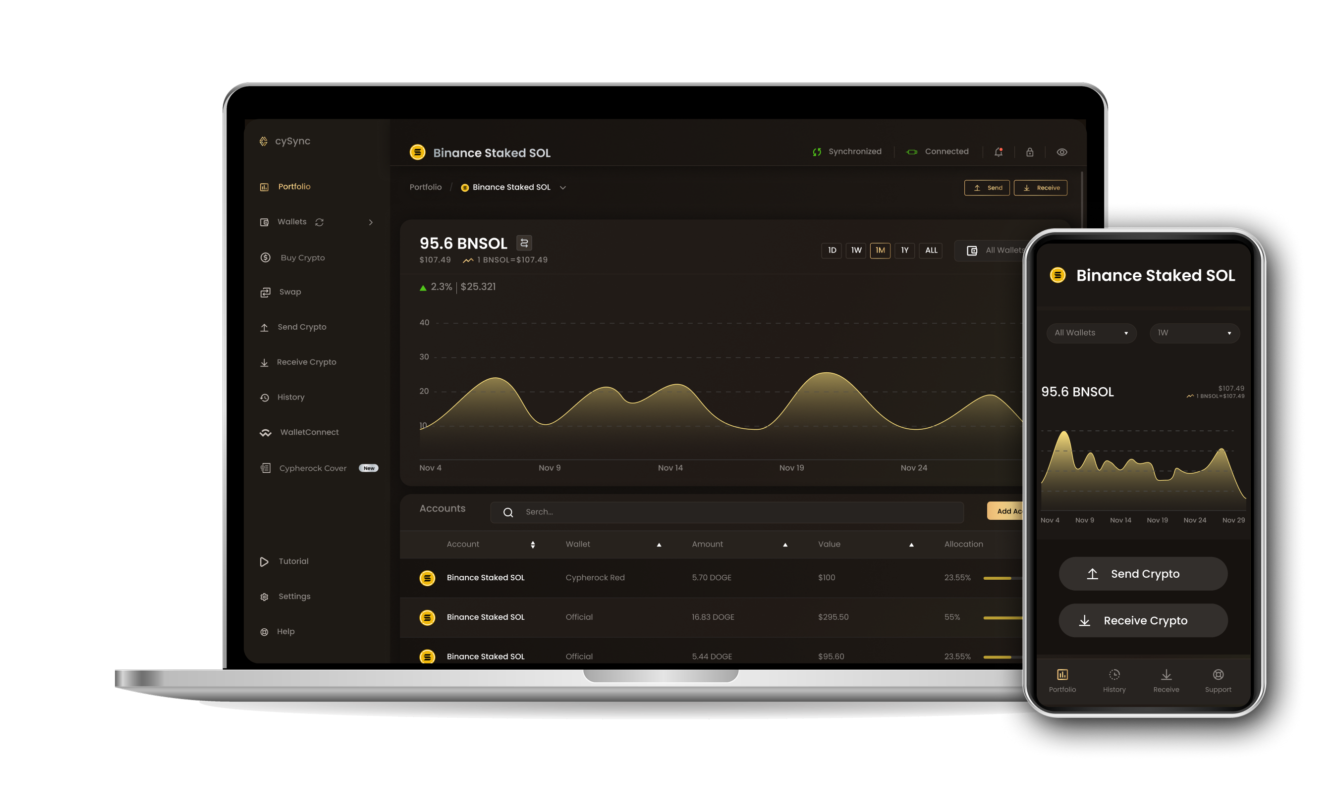CySync App interface showing Binance staked sol portfolio
