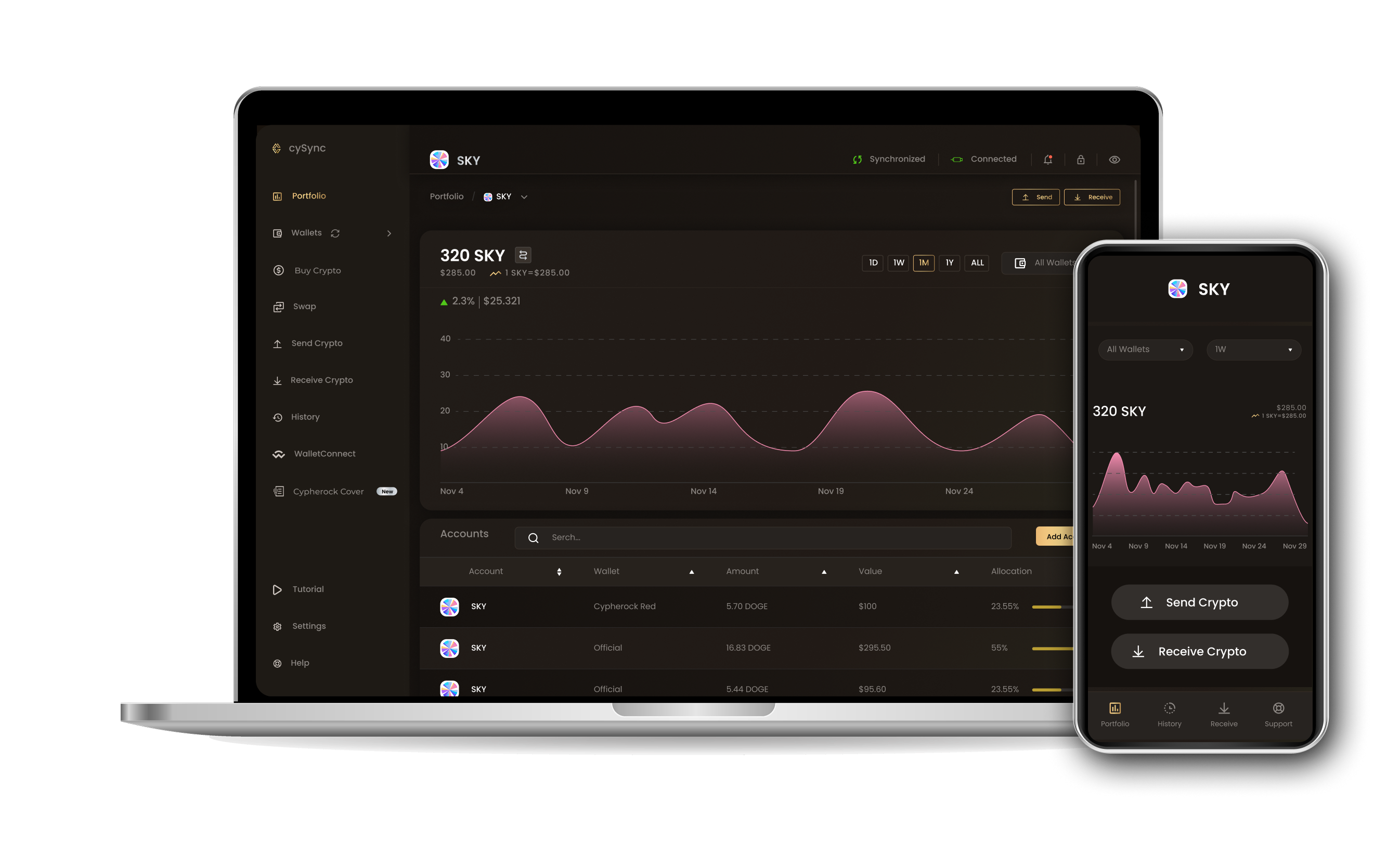 CySync App interface showing Sky portfolio
