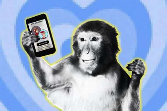 Web3's own dating app - The Lonely Ape Dating Club