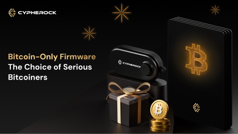 bitcoin only wallet