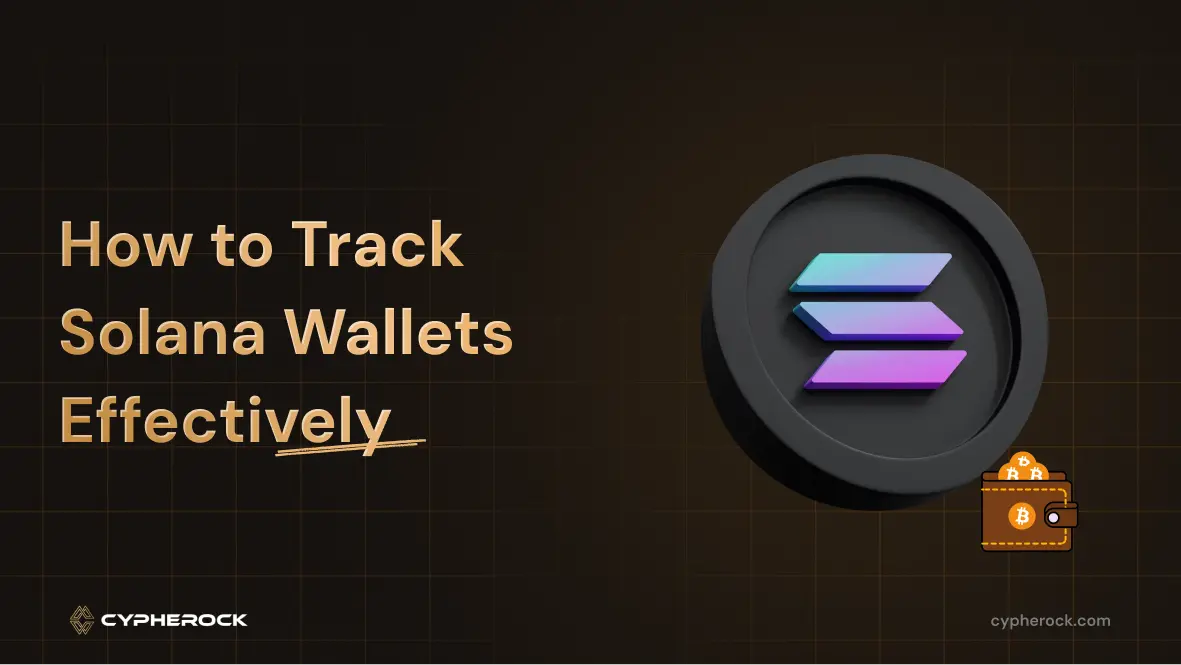 Track Solana Wallets