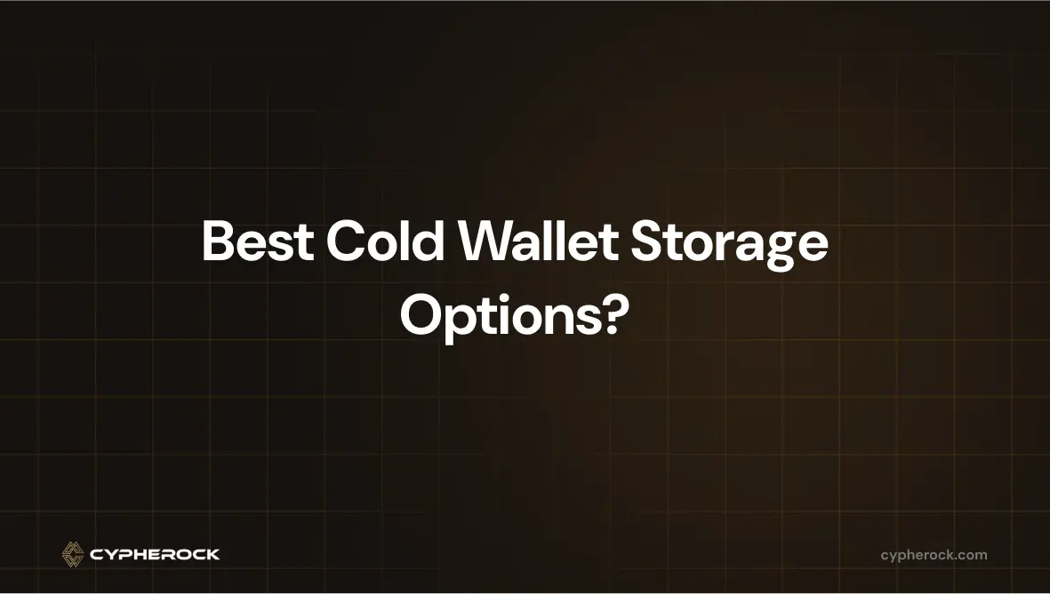 Best Cold Wallet Storage Options