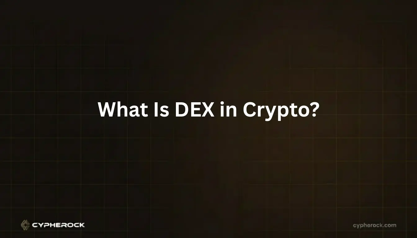 What Is DEX in Crypto