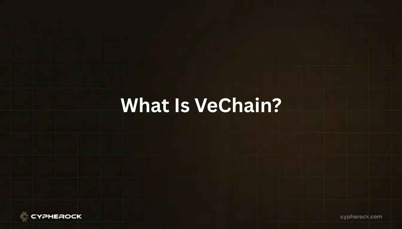 What Is VeChain