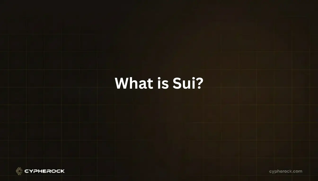 What is Sui