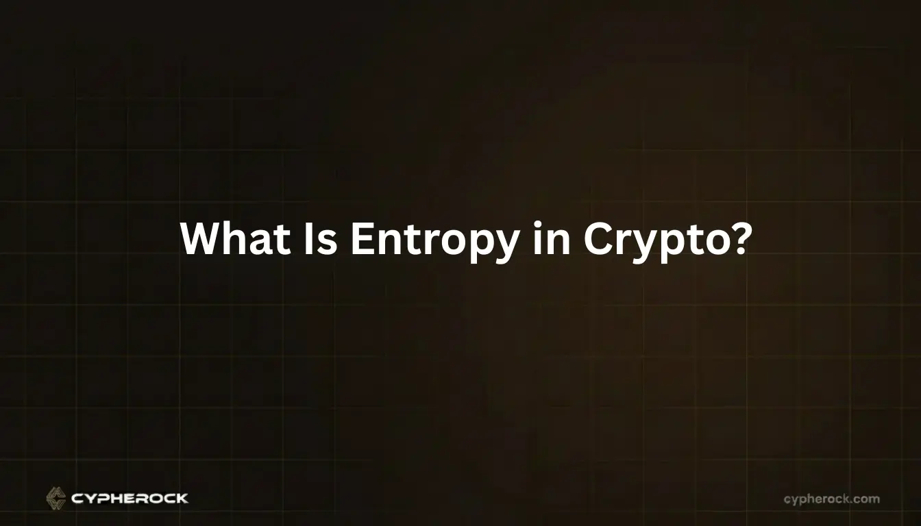 What Is Entropy in Crypto